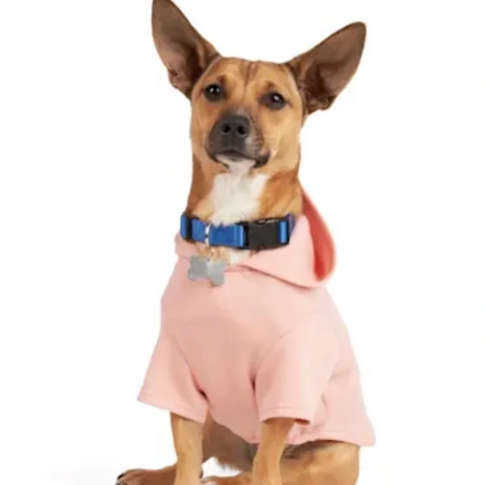 NWT Micro influencer dog hoodie XS